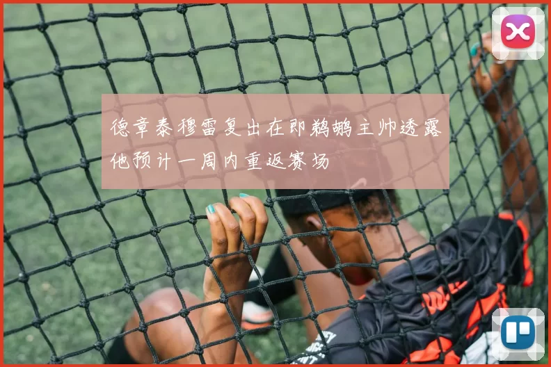 德章泰穆雷复出在即鹈鹕主帅透露他预计一周内重返赛场