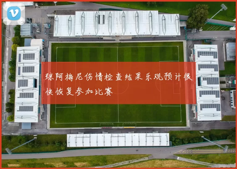 琼阿梅尼伤情检查结果乐观预计很快恢复参加比赛