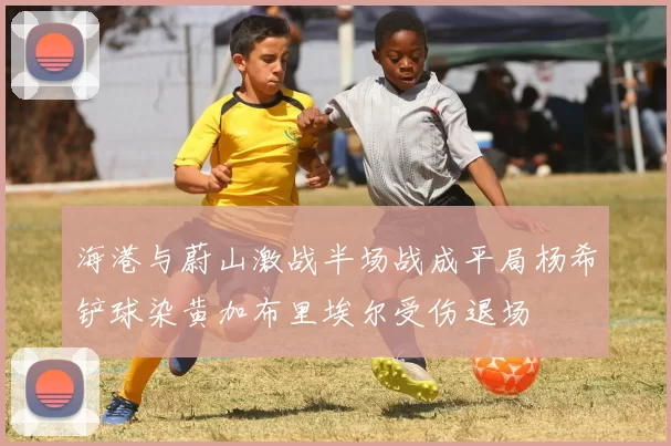 海港与蔚山激战半场战成平局杨希铲球染黄加布里埃尔受伤退场